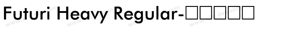 Futuri Heavy Regular字体转换